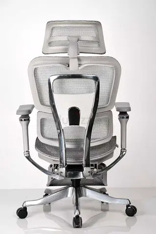 Ergonomic Mesh Office Chair with Headrest
