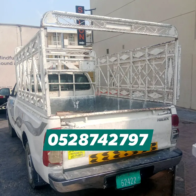 DPV_View_Image_0