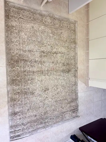 Light beige/gray traditional patterned area rug - good condition