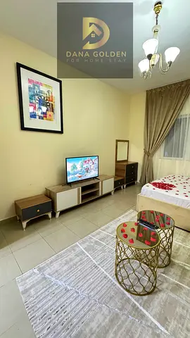 Lavish fully furnish Studio near safia park