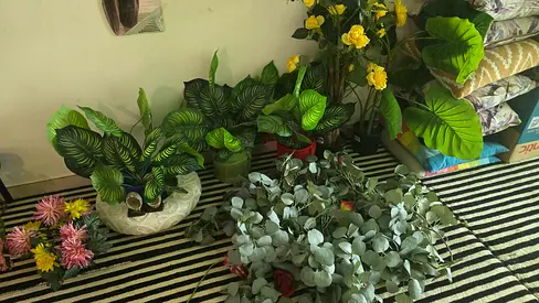 BEAUTIFUL LUXURY HOME CENTER ARTIFICIAL PLANT ALL ONLY 150