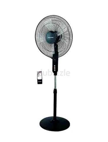 Fan
