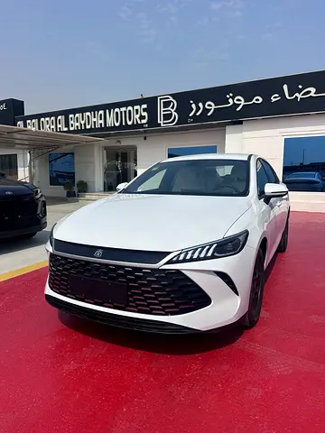 BYD Qin Plus Comfort, миниатюра 3