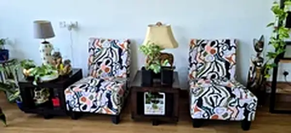 Pair of Slipper Chairs