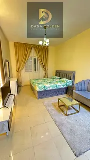Furnished studio with hotel-style furniture and internet