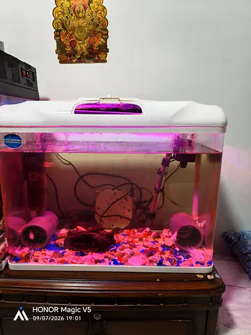 Aquarium for sale