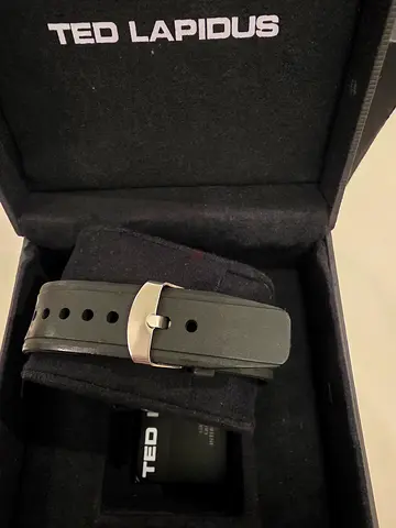 TED LAPIDUS WATCH