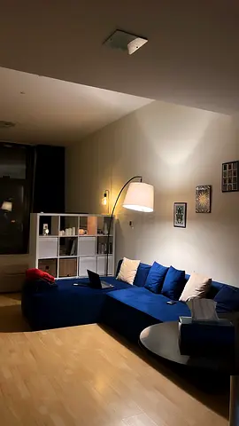Blue L-shaped Sectional Sofa in Good Condition