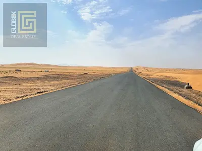 Prime Freehold Plots | 8,000 Sqft | Only AED 800,000