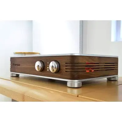 Serblin  son Frankie integrated Amplifier All in one