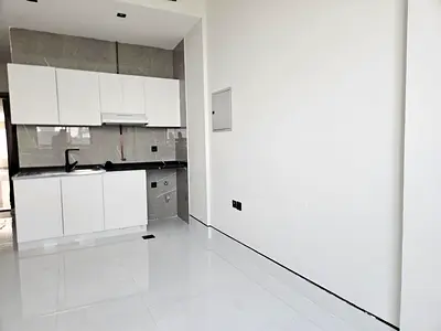 Vibrant Studio Lavish Offer 2Month Free Brand New Building Hot Location
