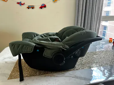 Infant Car Seat in Sage Green