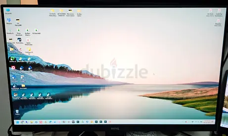BenQ Computer Monitor