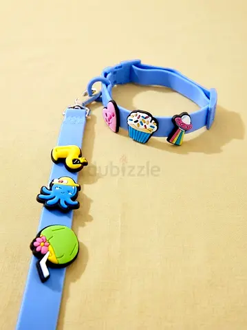 Customized Dog collar and leash set