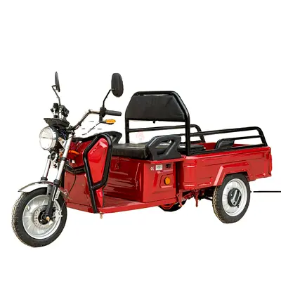 Electric Tricycle Cargo