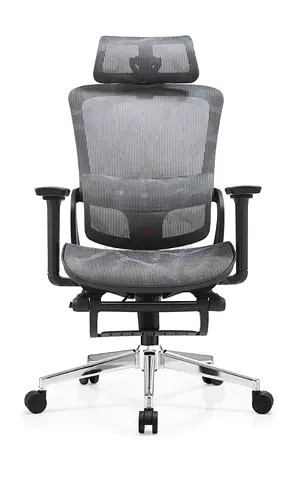 Ergonomic Mesh Office Chair with Headrest