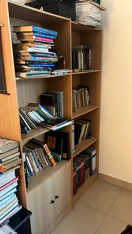 2XWooden book shelves