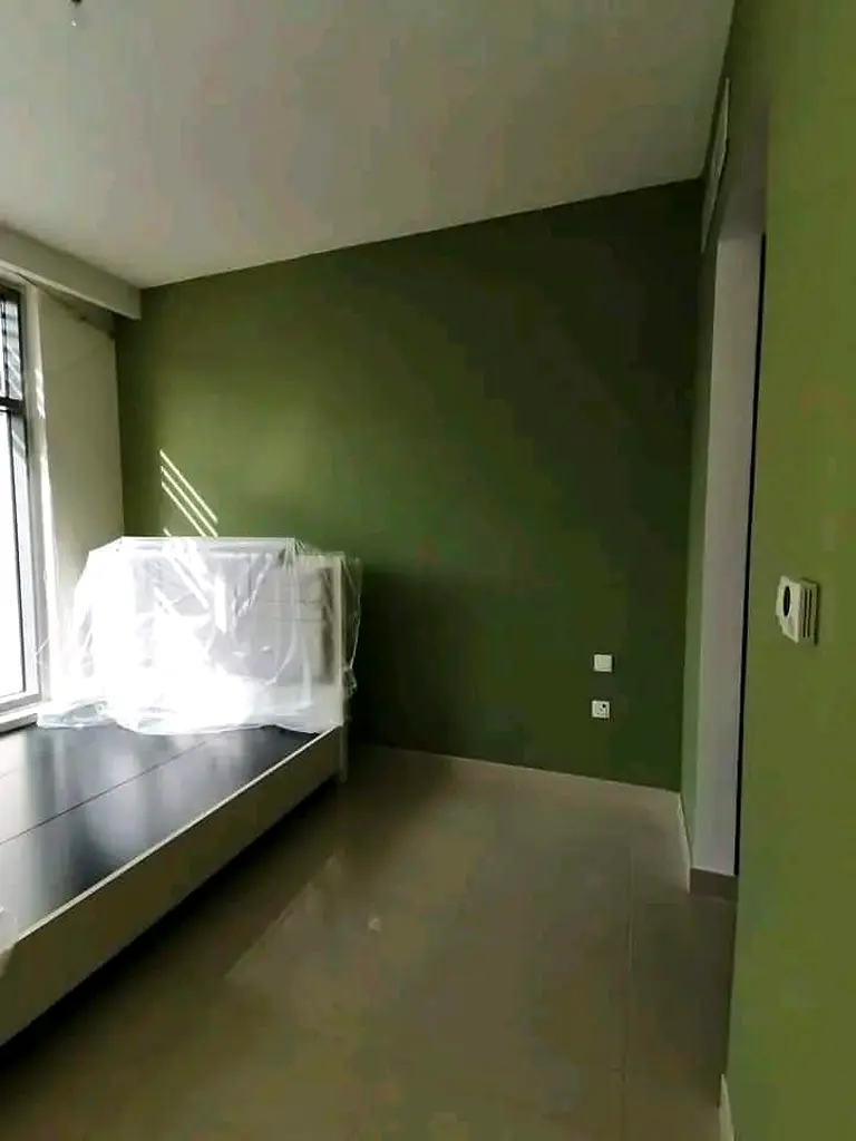 DPV_View_Image_4