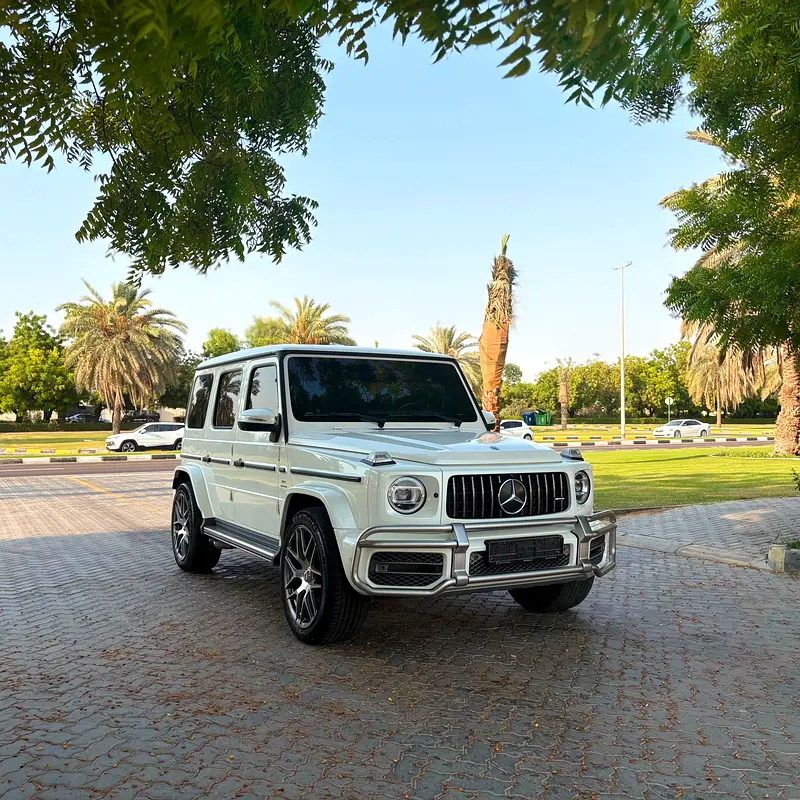 Mercedes-Benz G-Class 2019 — photo 1 of 14