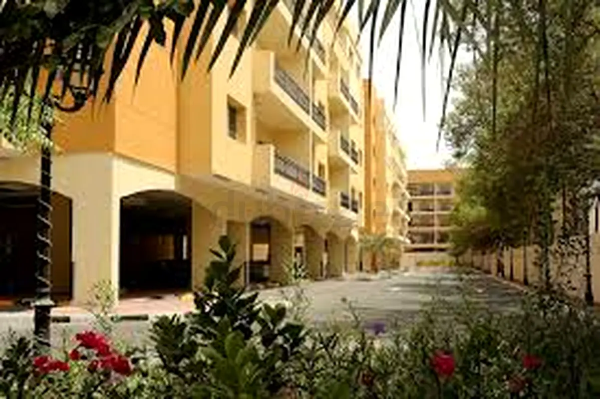 gallery-image