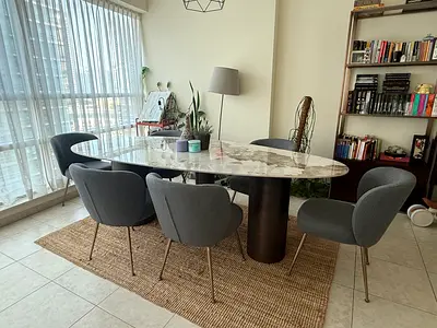 Luxury Marble Dinning table chairs