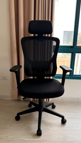 Ergonomic Mesh Office Chair with Headrest