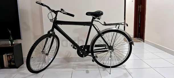 regular bicycle with large wheels