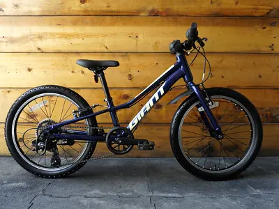 Giant Talon 20 Kids Bike