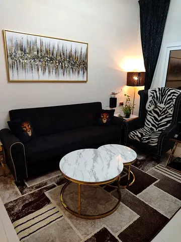 ✨ Luxury Sofa Cum Bed with Large Storage – Excellent Condition  Selling this beauti