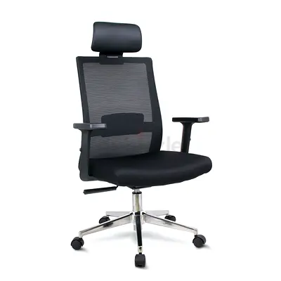 Ergonomic Mesh Office Chair with Headrest