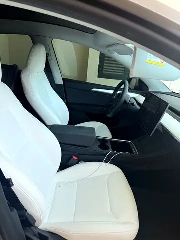 2023 Tesla MODEL Y 照片 2