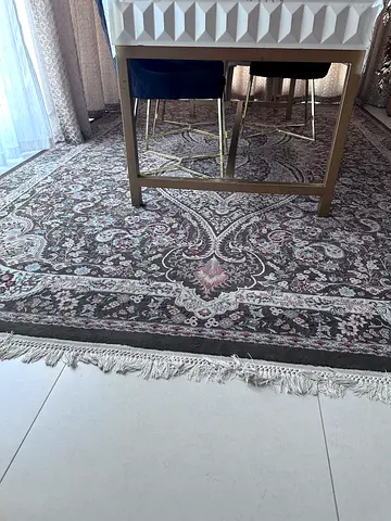 Used Persian-style area rug with fringe — good condition