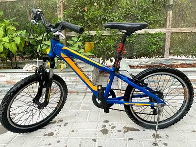 Reid kids 20 Mountain Bike - Good Condition