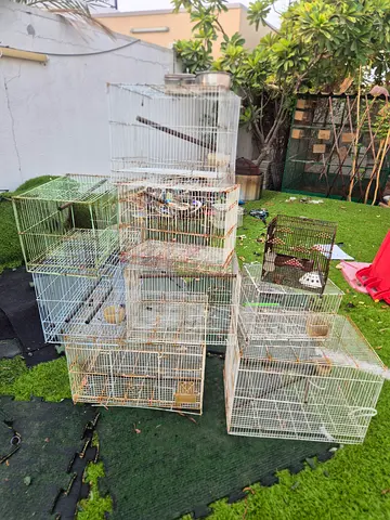 Bird cages