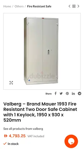 This is a Valberg Brand Mauer 1993 fire-resistant cabinet, featuring a white double-door design with