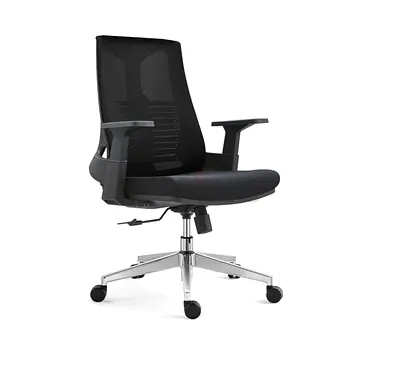 Ergonomic Mesh Office Chair with Chrome Base