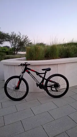 Rockrider 27.5 inch bike