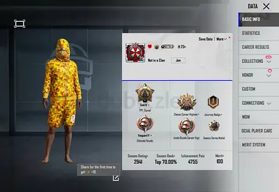 Rare Pubg Account