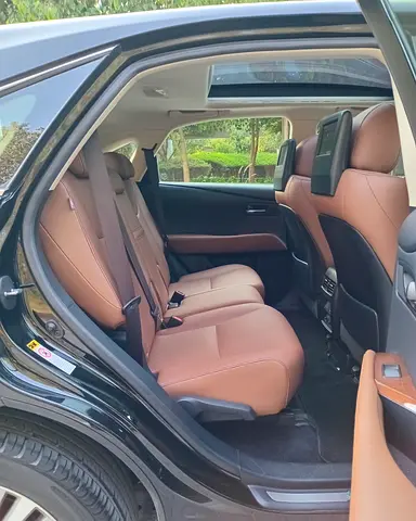 2015 Lexus RX-SERIES 缩略图 12