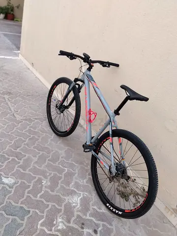 Silver back frame large tir 29 like new good condition and net and clean bike