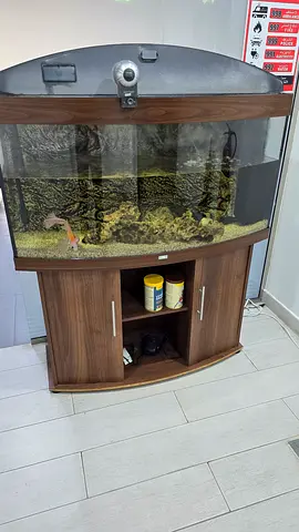 Large Aquarium with Wooden Cabinet