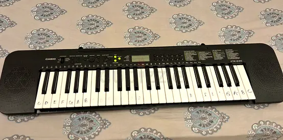 Casio 49-Key Portable Keyboard - Good Working Condition