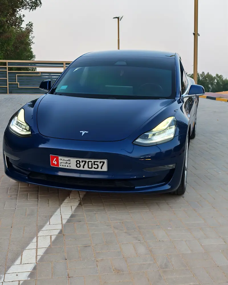 Tesla Model 3 2020 — photo 1 of 17
