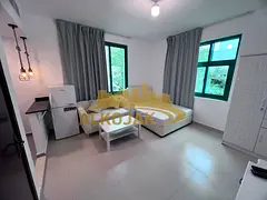 Bright Furnished Studio | Manaseer| 3800 AED Monthly