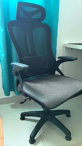 Ergonomic Mesh Office Chair with Headrest and Lumbar Support