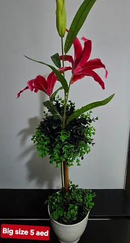 Home decoration