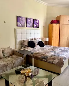 Studio Apartment For Sale | Lincoln Park Sheffield, Arjan