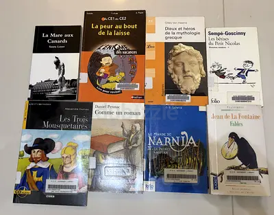 Collection of Childrens and Classic School Books (10 titles) - Great for learning beginner French