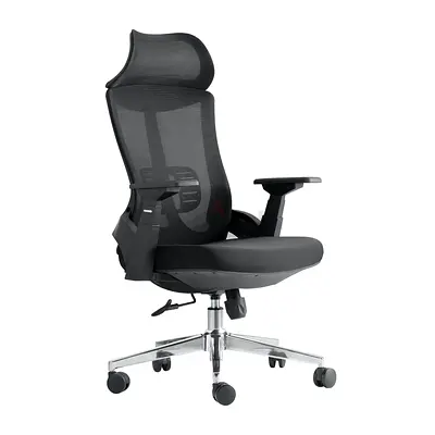 Ergonomic Mesh Office Chair with Headrest and Armrests
