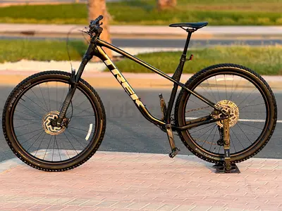 Trek Roscoe7/29